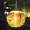 10 inch LED Round Solar Lantern Printed Waterproof Hanging Decor (Parrot A)