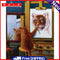 Frameless Oil Paint By Numbers DIY Cat Tiger Picture Craft Kits for Bedroom