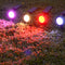 9 LED Waterproof Solar Spotlight Garden Lawn Ground Lighting Wall Lamp (B) Newly