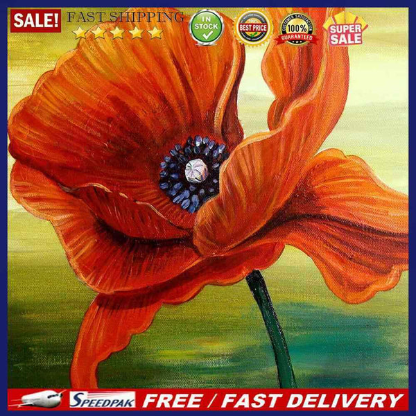 Flower Oil Paint By Numbers DIY Handpainted on Canvas Home Decoration Unframe