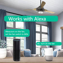 No Hub Required Timer Speed Control Switch EU Switch WiFi US Fan Smart Switch
