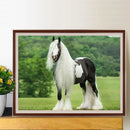 5D DIY Diamond Painting Kits Full Square Drill Gypsy Horse Mosaic Picture Decor