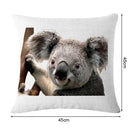 Non-fading Koala Printed Pillowcases Square Cleanable Sofa Car Cushion Covers