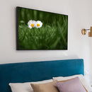 Painting By Numbers Oil Picture Artwork DIY Hand Painted Canvas Meadow Daisy Kit