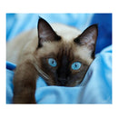 Full Drill Blue Eye Cat 5D Diamond DIY Painting Craft Kit Home Decor Newly