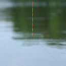 Electric Fishing Floats Day Night Dual-purpose Electronic Float Fishing Tac