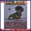 5D DIY Diamond Painting Kits Full Round Drill Dog/Cat Rhinestone Art Crafts H