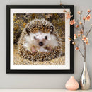 5D DIY Full Round Drill Diamond Painting Hedgehog Color Handmade Needlework Sets