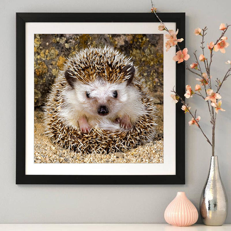 5D DIY Full Round Drill Diamond Painting Hedgehog Color Handmade Needlework Sets