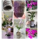 Clear Root Control Pot Orchid Fleshy Flower Breathable Container (White) Newly