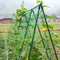 1.8 x 2.7m Nylon Flower Plant Fruit Climbing Frame Garden Fence Net