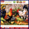 Yard Chicken Partial Oil Paint By Numbers DIY Handpainted Home Decoration G