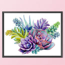 11CT Stamped Canva Partial Cross Stitch Embroidery Succulent Print Cotton Thread