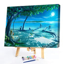 Night Landscape 50x40cm Oil Paint By Numbers DIY Painting