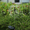 125LED Solar Fireworks Dandelion Light Outdoor Garden Patio Decor (2pcs)