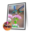 5D DIY Diamond Painting Kits Hummingbird on Flower Full Square Drill Wall Mos