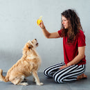 Simulation Fruit Banana Dog Chew Trainer Cute Kitten Puppies Interactive Games