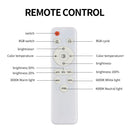Modern Ceiling Lamp Dimmable Chandelier Lighting pc Easy Install for Indoor