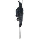 Realistic Hanging Dead Crow Decoy Lifesize Extra Large Feathered Black Cro best