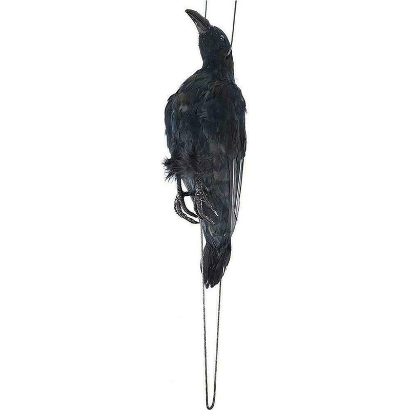 Realistic Hanging Dead Crow Decoy Lifesize Extra Large Feathered Black Cro best