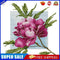 Partial Cross Stitch 14CT Cotton Thread DIY Kapok Printed Embroidery Kits