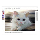 5 Round Diamond Painting Embroidery DIY Cross Stitch Craft Home Decor