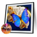 5D Diamond Painting DIY Butterfly Flower Full Round Drill Home Decoration Newly