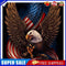 Eagle Flag Frameless DIY Oil Paint by Numbers Hand Painted Artistic Craft