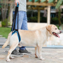 #A Adjustable Dog Leash Aid Assist Tool Lift Harness for Back Legs Pet Support
