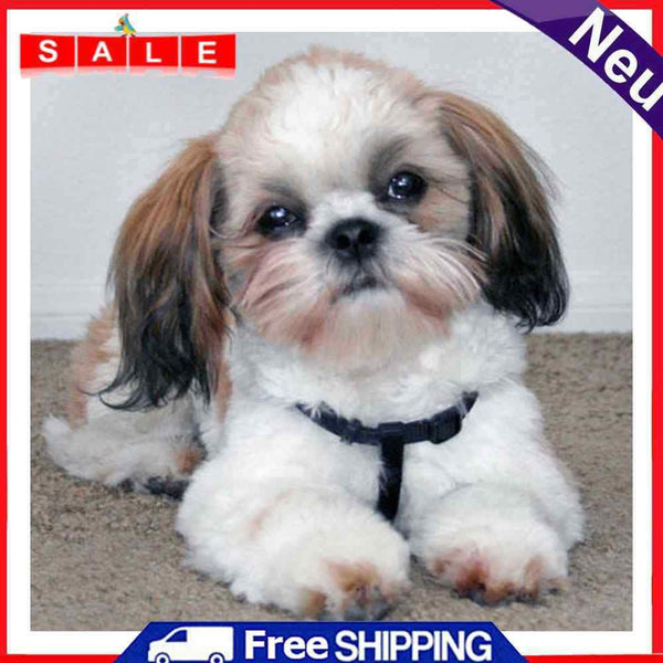 5D DIY Full Drill Diamond Painting Sad Puppy Cross Stitch Embroidery Rhinestones