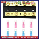 60A 32V 4 Gang Dual Positive Negative Bus Bar with 8 Ring Terminals for Marine