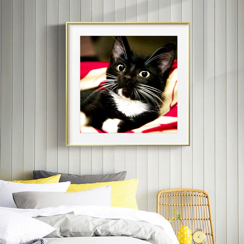 Diamond Painting Long Whisker Black Cat Full Round Wall Picture Kit 30x30cm