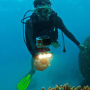 Fill light LED Diving Lamp Extension For Gopro Hero Series 9/8/7 Action Camera