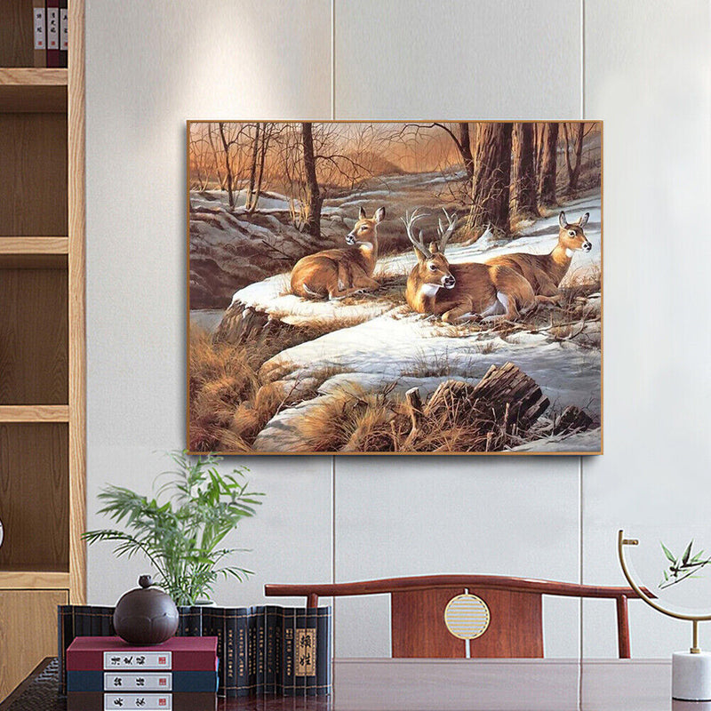 Frameless Oil Paint By Numbers Wall Art Posters Picture Craft Kit Home Gifts