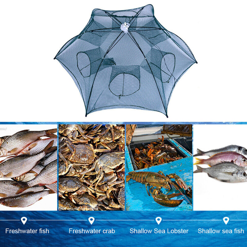 6/8 Holes Fishing Net Shrimp Cage Nylon Foldable Fish Cast Trap (6 Holes) Newly