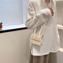 Mini Crossbody Bags Retro Print Straw Leather Handbags Chain Purse (Beige)