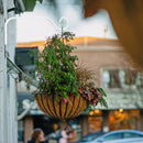 Metal S Shaped Wall Hanging Basket Iron Flower Pot Plant Support Hanger Hooks