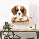 5D DIY Full Drill Diamond Painting Bored Puppy Cross Stitch Embroidery Mosa