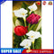 Tulips and Calla Lilies Oil Paint By Numbers Kit DIY Acrylic Painting Decor