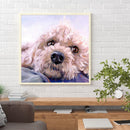Diamond painting square diamond DIY animal puppy picture ZQF2505