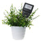 Soil Moisturizer and pH Level Tester Garden Plant Analyzer Garden We