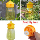Traps Killer Hornets Reusable Wasp Trap Wasp Traps Jar Bee Trapper Bee Catcher