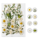 Dried Flower Material Package Real Pressed Dry Flowers & Leaves (White) Newly