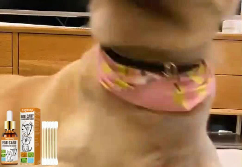 Pet Ear Drops Ear Cleaning Liquid Cat Dog Mite Killer Ear Care a a Z3J8 E6B4