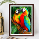 Oil Paint By Numbers Animal Parrot DIY Painting Kit Wall House Art Drawing