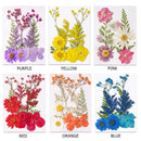 6pcs Dried Flower Material Packages Real Pressed Dry Flowers & Tweezer Kit