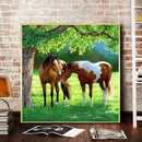 5D DIY Diamond Painting Kits Full Round Drill Animal Mosaic Picture Wall Decor