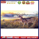 Elk DIY Zero Basis Paint by Number Kits Kill Time Picture Colouring Kits 80x40cm