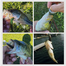 8x 10cm 6g Bionic Loach Fishing Lures Sinking Artificial Soft Baits (Mixed)