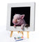 Pig and Mouse Oil Paint By Numbers DIY Handpainted on Canvas Home Decorations